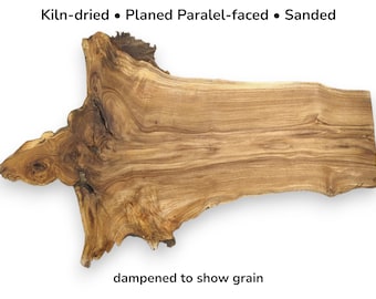Large Pagoda Tree Raw Wood Slab Live Edge Root Slice With Wavy Grain Pattern #016