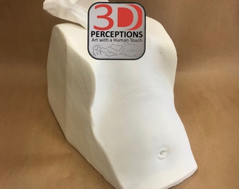Vissue Box - Vagina Tissue Box Cover Decor Lifecast
