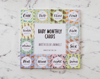 Baby Monthly Cards