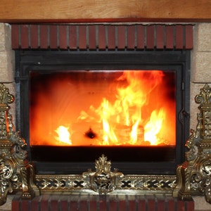 Dragon decor Carps Salamander Antique fireplace andirons with fender Firedogs French antique bronze andirons Gothic Decor Fireplace surround