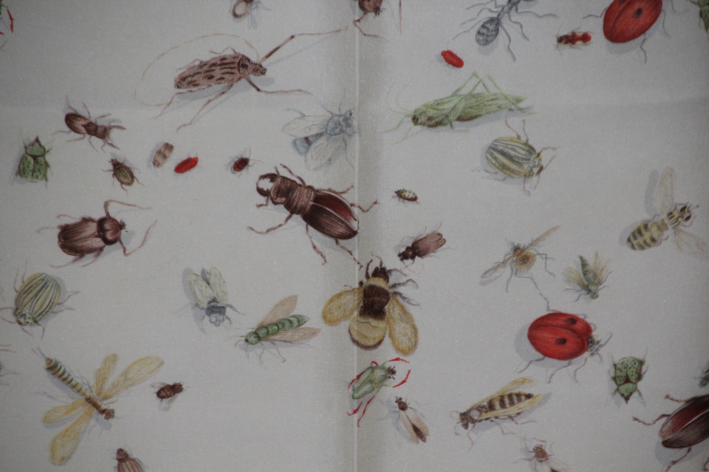 Bug Scarf Insect Scarf Hermes Silk Scarf Blue Ladybug Ladybird - Etsy