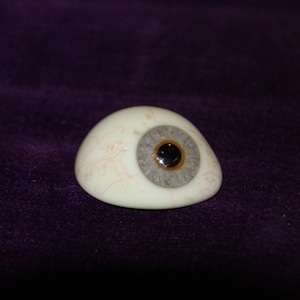 Vintage glass eye Vintage Prosthetic Human Glass Eyes Realistic human eye Prosthetic eye Medical antiques Optical Eye doctor gift Oculist