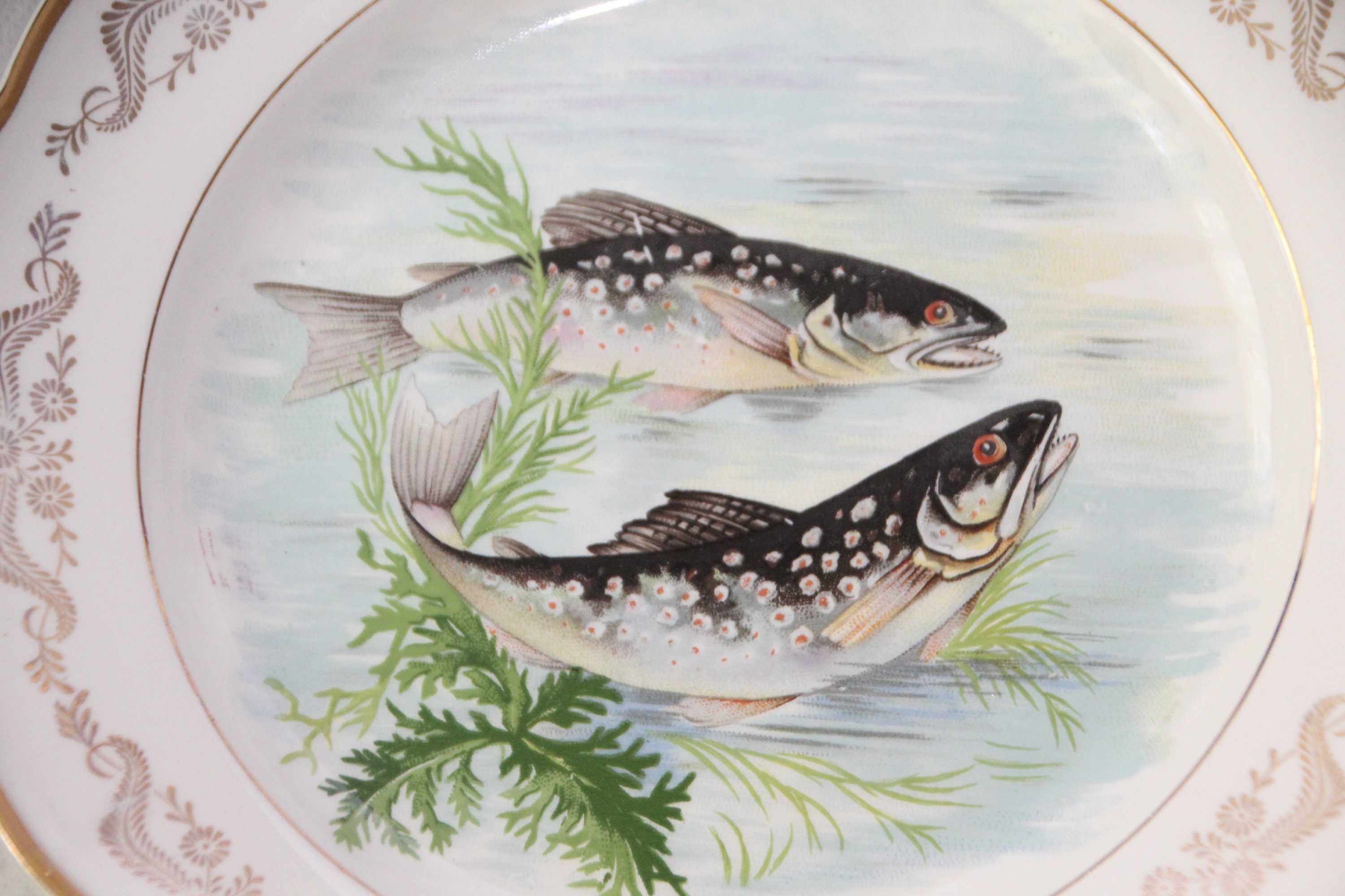 Fish Plate Set of 6 Gilt Porcelain Decorative Plate Fish Decor