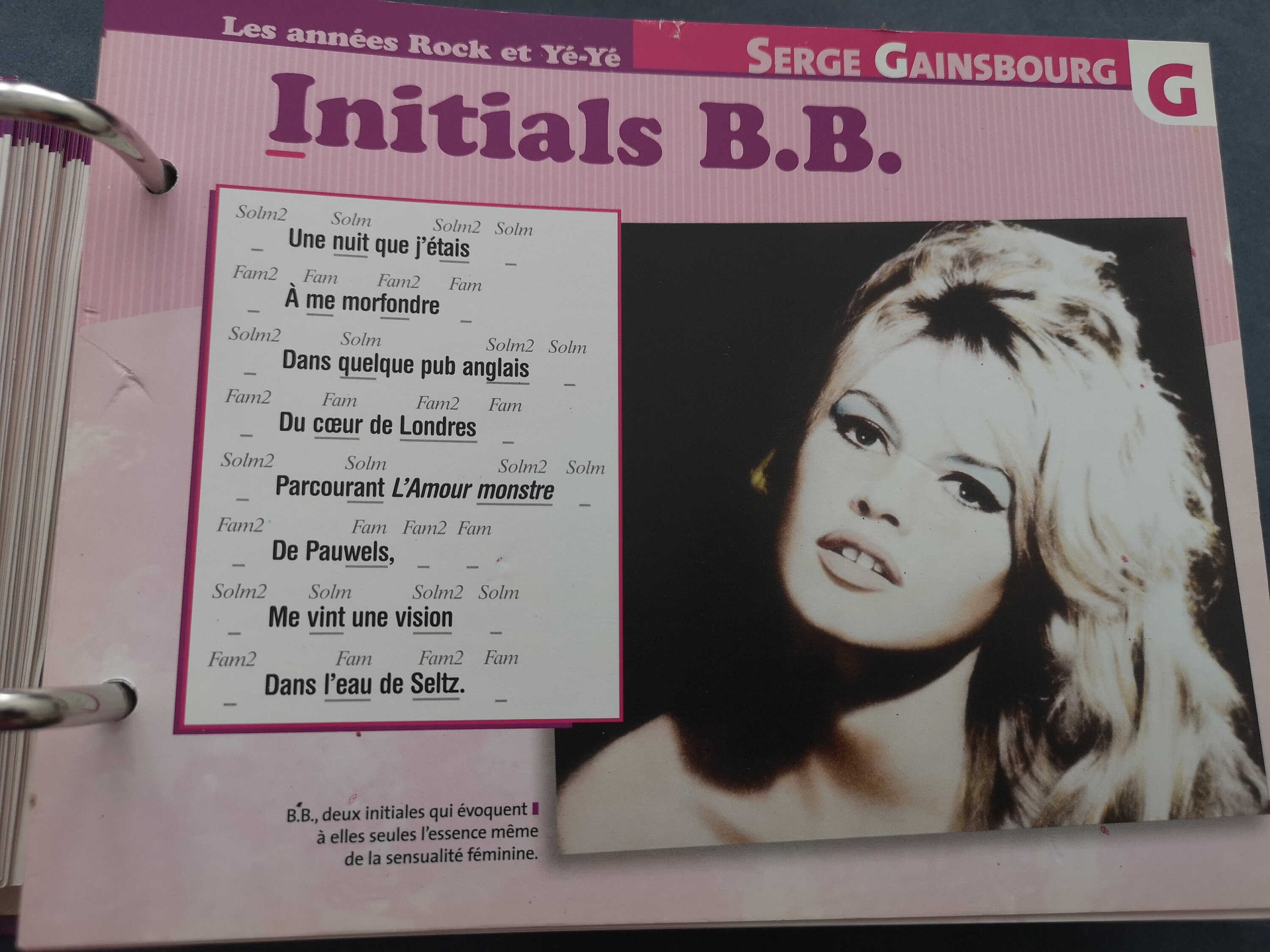 French songs Binder of cards Collector Retro Variety song Nostalgy Joe Dassin Yves Montand Delon Dalida Johnny Halliday Piaf Aznavour Birkin