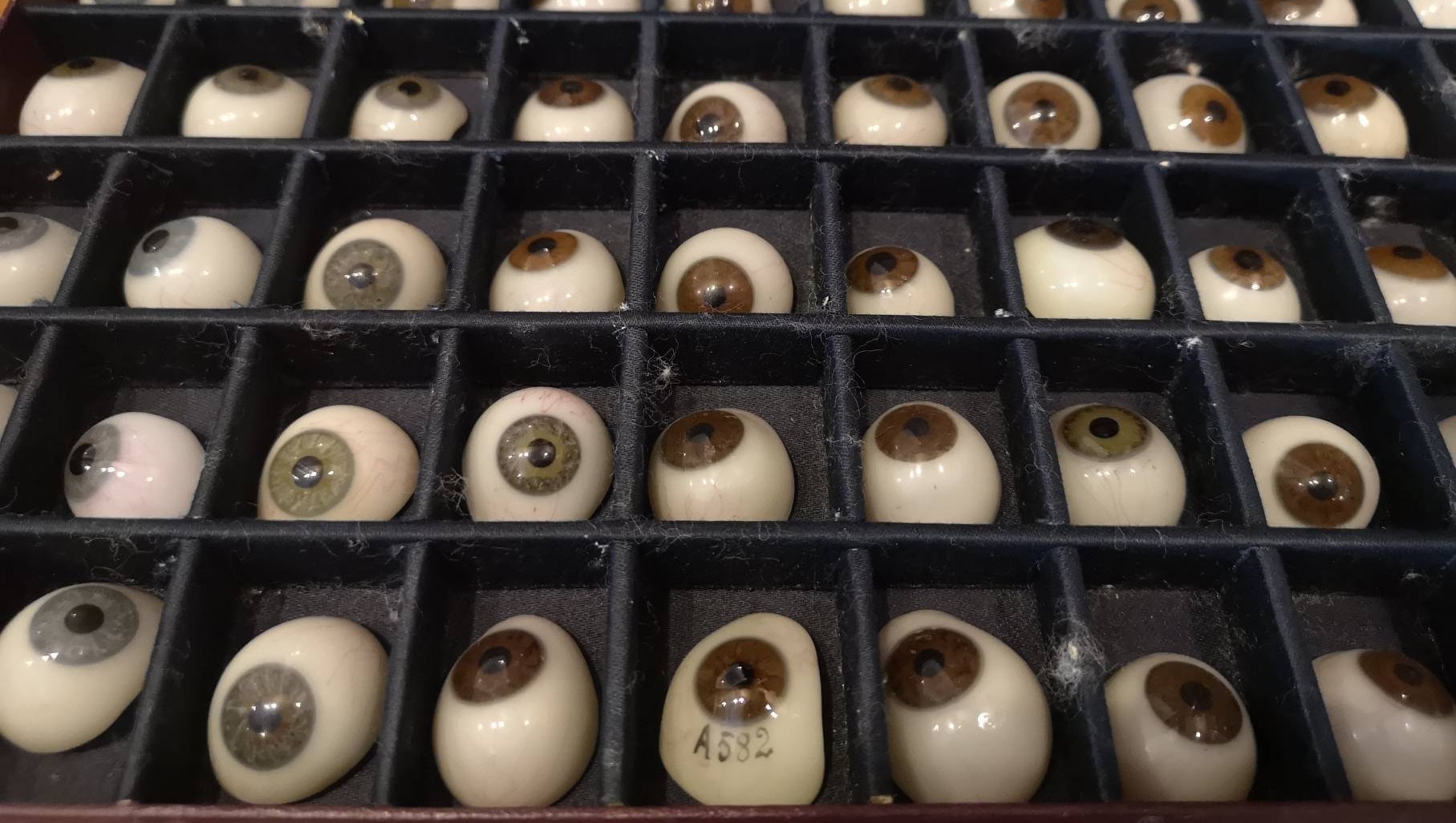 vintage glass eye usa製antique glass eye Medical Antiques Antique Glass Eyes Real Glass Eyes Antique