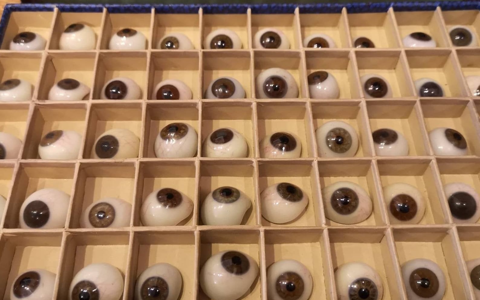 Medical antiques Antique Glass Eyes Real Glass Eyes Antique Etsy