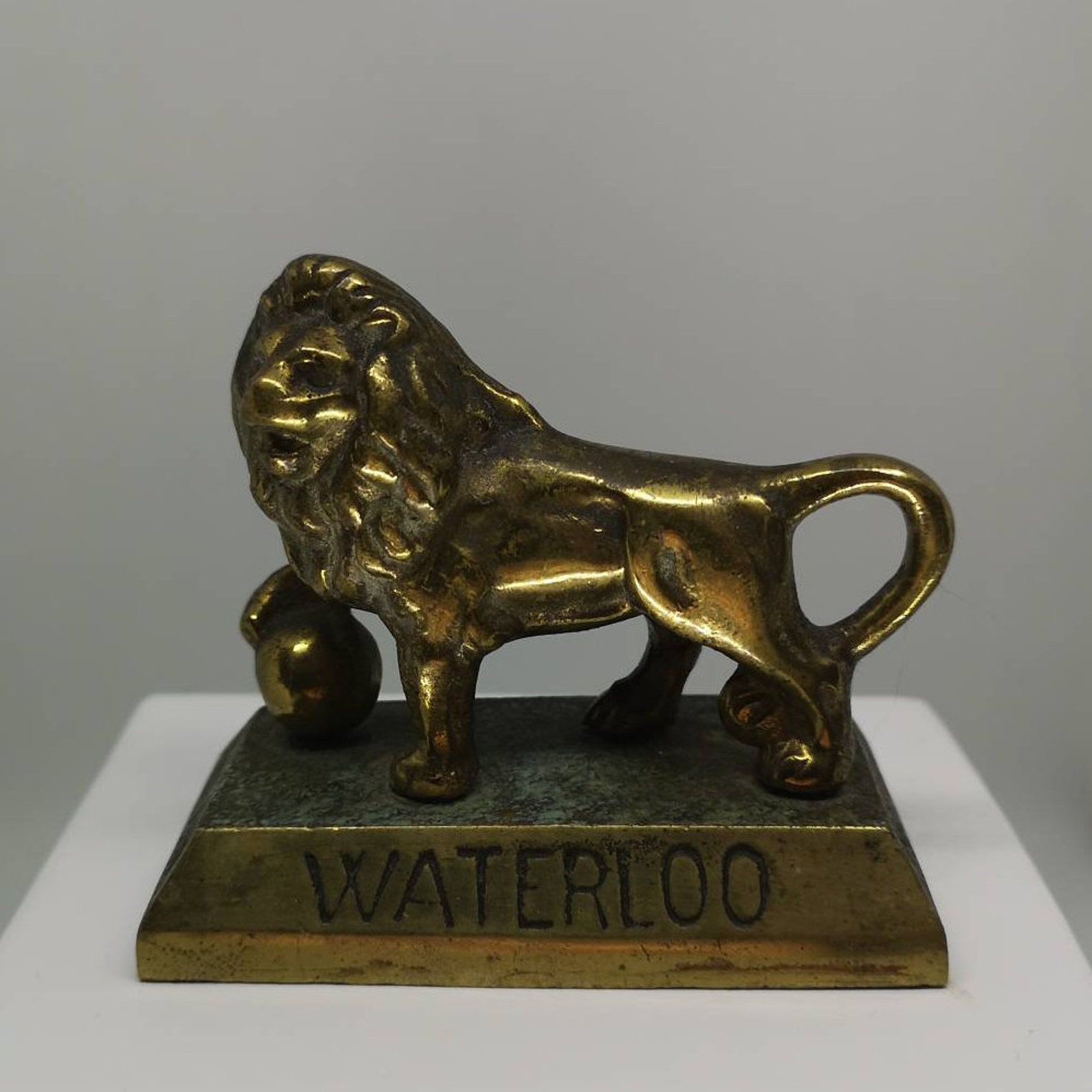 Bronze Statue Lion Waterloo Belgium Napoleons Battle Waterloo Etsy