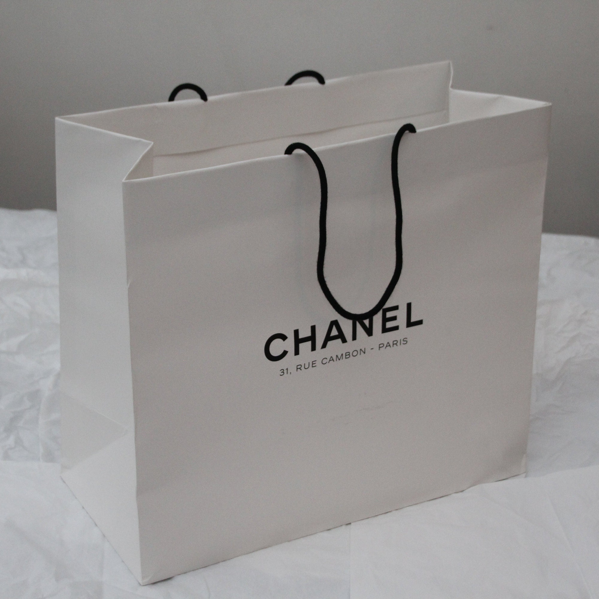 Authentic Chanel Paper Bag Shopping Bag Gift Bag Luxury Packaging with  Camellia