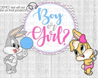 Gender Reveal Centerpiece Set Looney Tunes Baby/Three Pieces/Lola Bunny/Bugs Bunny/Pink/Blue/Grey/Boy or Girl  013 012 018