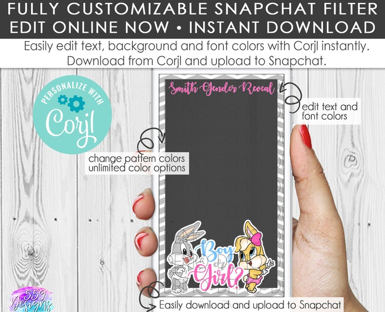 Looney Tunes Gender Reveal Snapchat Geofilter/Bugs Bunny ...