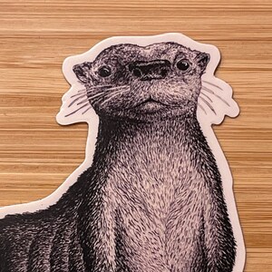 Illustrated otter sticker by Julia Ben-Asher, ink.