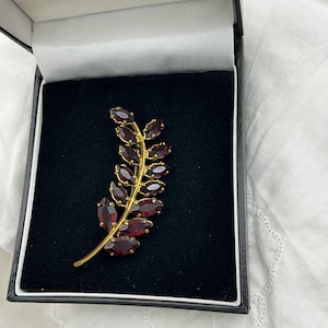 May include: A gold-coloured brooch shaped like a leaf, adorned with oval, deep red gemstones. The brooch is presented in a black velvet-lined box with a white satin interior. The leaf design features a curved stem with gemstones along its length.