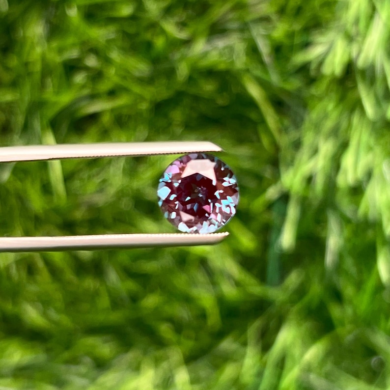 Op de afbeelding: Een ronde, gefacetteerde edelsteen die door een pincet wordt vastgehouden. De edelsteen heeft een diepe bordeauxrode kleur met flitsen van blauw en paars. De achtergrond is een wazig groen, wat wijst op een natuurlijke omgeving. Deze edelsteen is waarschijnlijk voor sieraden.