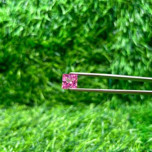 May include: A square-cut, pink gemstone is held by silver tweezers against a backdrop of green. The gemstone has a vibrant, saturated color and appears to be faceted, reflecting light. The tweezers are positioned to showcase the gem.