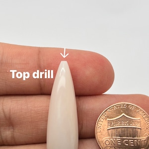 May include: A white teardrop-shaped shell with a small hole drilled at the top. The shell is being held in a hand next to a US penny for size comparison.