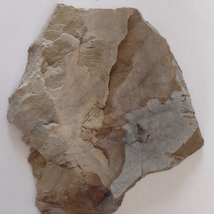Picture Jasper slab