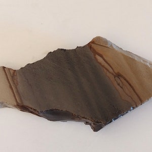 Cripple Crk. Picture Jasper raw cut