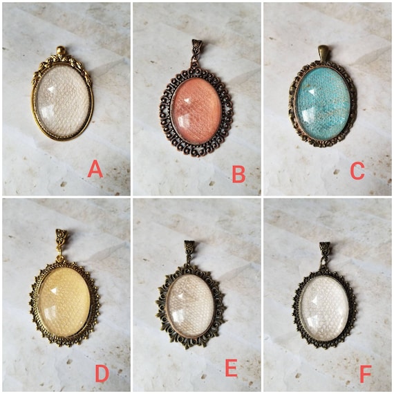 Snake shed jewelry clearance