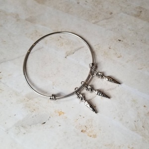May include: A silver bangle bracelet with three dangling carrot charms.