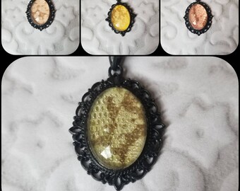 Tegu shed jewelry, reptile shed pendant, Tegu necklace, cruelty free Tegu shed jewelry, Tegu shed behind glass, gift for reptile lover