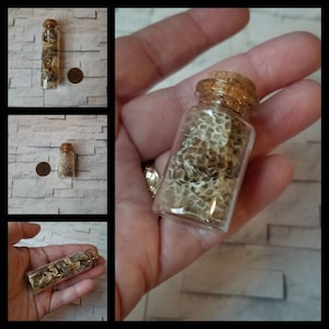 Fiole d'abri de serpent, abris de serpent dans une bouteille, peau de serpent dans des bouteilles, abri de serpent pour les sorts, peaux de serpent pour les bouteilles de sorts, sorts de cheminée, bibelots