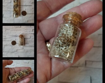 Snake shed vial, snake sheds in bottle, snakeskin in bottles, snake sheds for spells, snake skins for spell bottles, Hoodoo spells, curio
