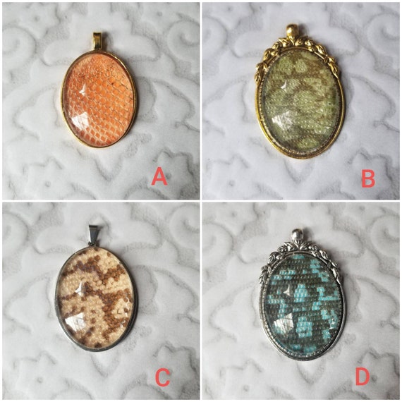 Tegu shed jewelry, reptile shed pendant, Tegu necklace, cruelty free Tegu shed jewelry, Tegu shed behind glass, gift for reptile lover