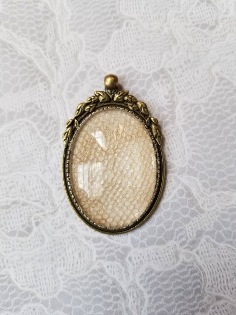 Snake shed jewelry snake shed pendant snakeskin necklace 