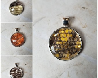 Tegu shed jewelry, reptile shed pendant, Tegu necklace, cruelty free Tegu shed jewelry, Tegu shed behind glass, gift for reptile lover
