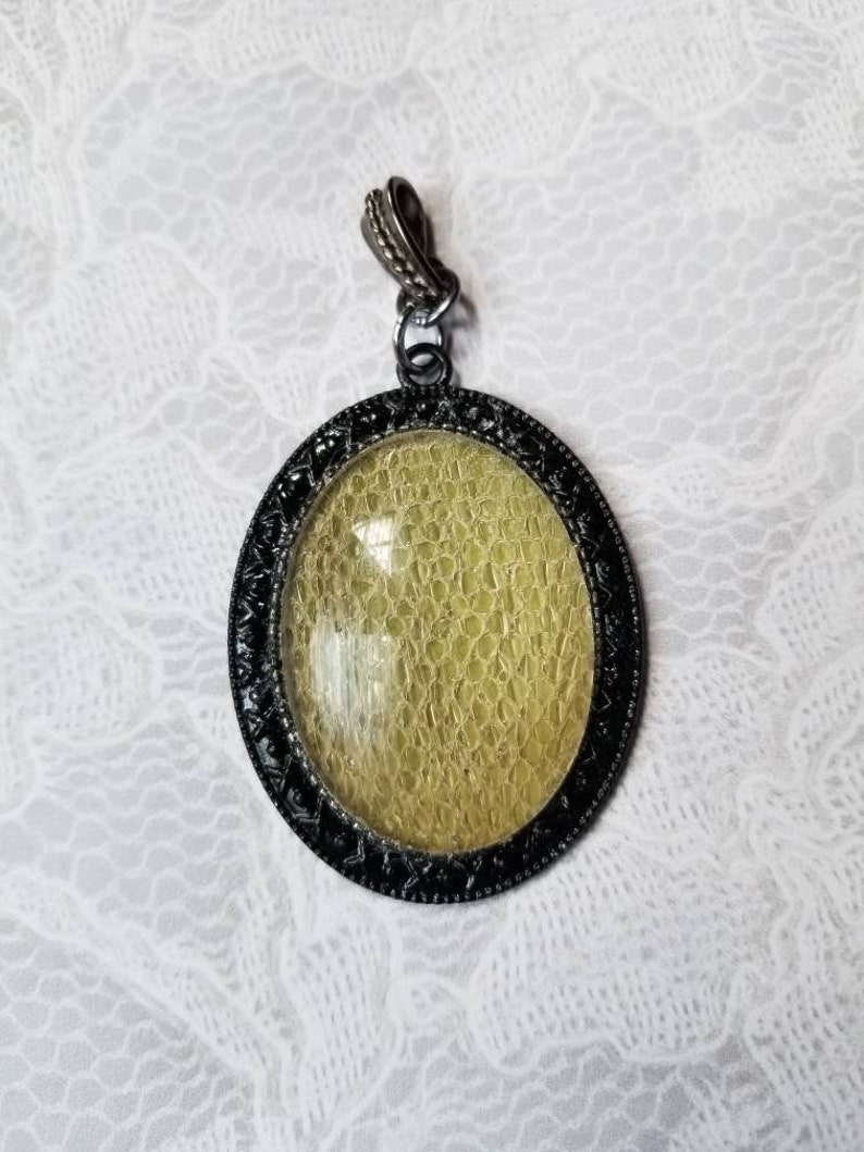 Snake shed jewelry snake shed pendant snakeskin necklace 