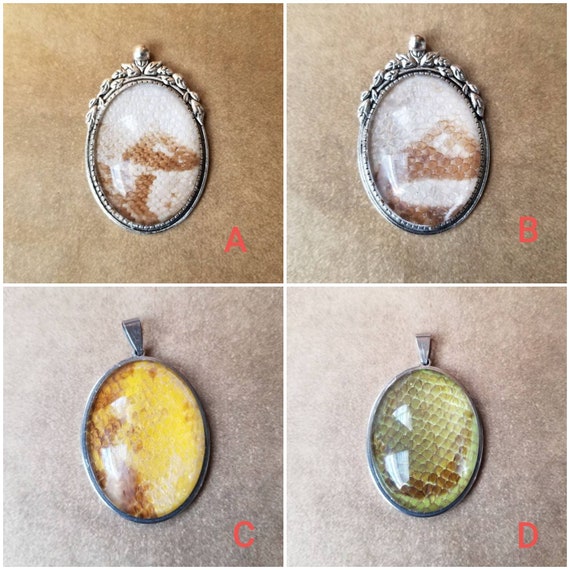 Snake shed jewelry, snake shed pendant, snakeskin necklace, cruelty free snake shed jewelry, snake shed behind glass, gift for snake lover