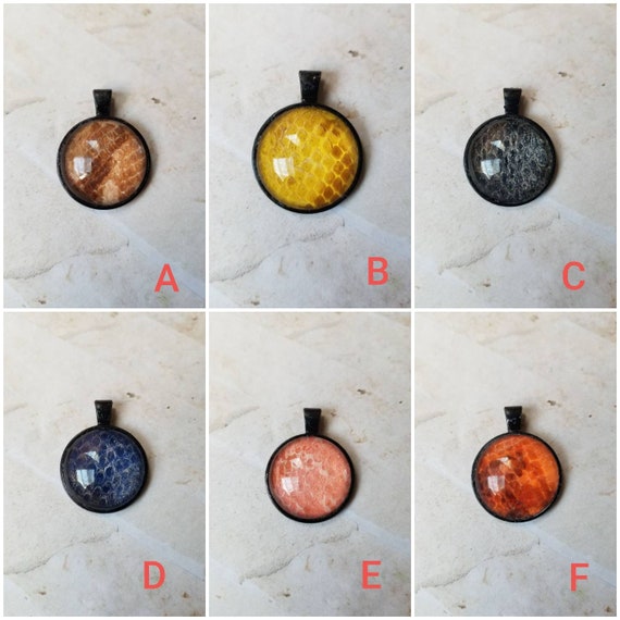 Snake shed jewelry, snake shed pendant, snakeskin necklace, cruelty free snake shed jewelry, snake shed behind glass or silicone,unique gift