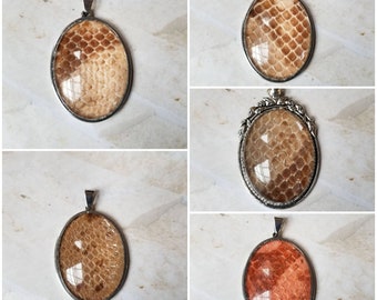 Snake shed jewelry, snake shed pendant, snakeskin necklace, cruelty free snake sheds, Boa Constrictor shed jewelry, Boa shed skin pendant