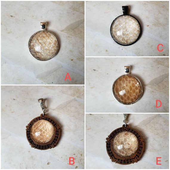 Snake shed jewelry, snake shed pendant, snakeskin necklace, cruelty free snake sheds, Boa Constrictor shed jewelry, Boa shed skin pendant