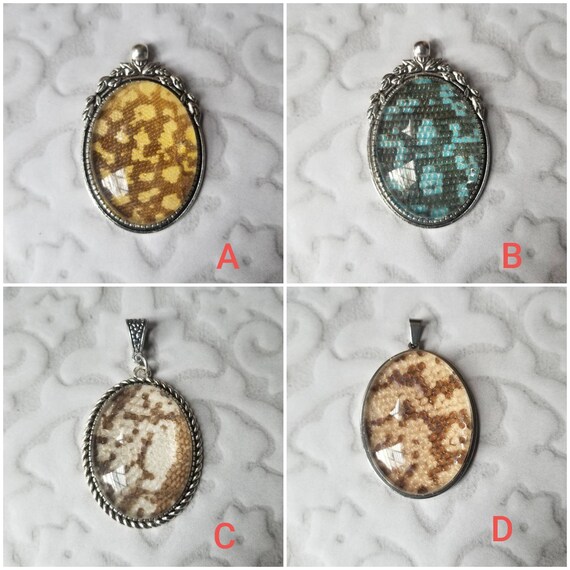 Tegu shed jewelry, reptile shed pendant, Tegu necklace, cruelty free Tegu shed jewelry, Tegu shed behind glass, gift for reptile lover