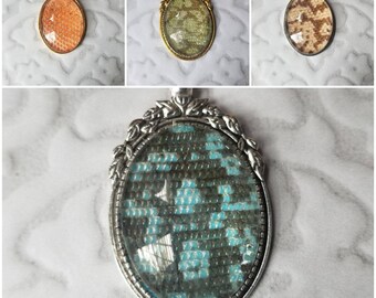Tegu shed jewelry, reptile shed pendant, Tegu necklace, cruelty free Tegu shed jewelry, Tegu shed behind glass, gift for reptile lover