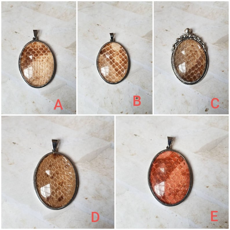Snake shed jewelry snake shed pendant snakeskin necklace