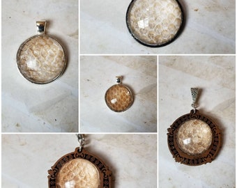 Snake shed jewelry, snake shed pendant, snakeskin necklace, cruelty free snake sheds, Boa Constrictor shed jewelry, Boa shed skin pendant