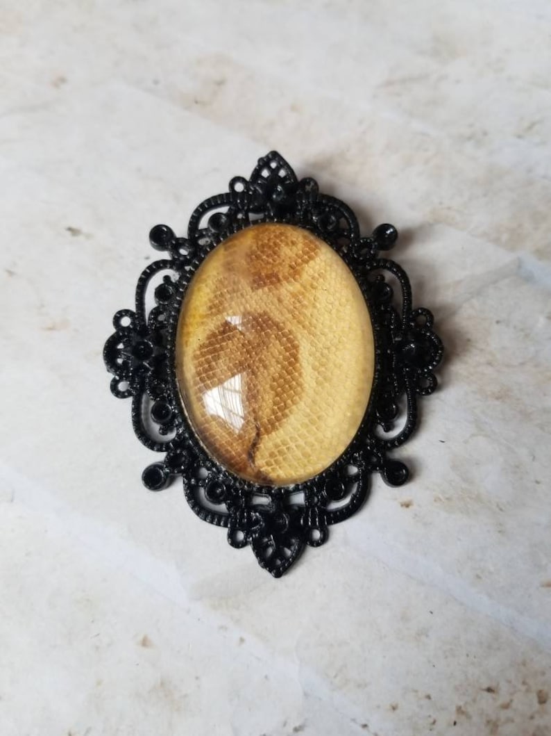 snake shed jewelry snake shed pendant snakeskin necklace