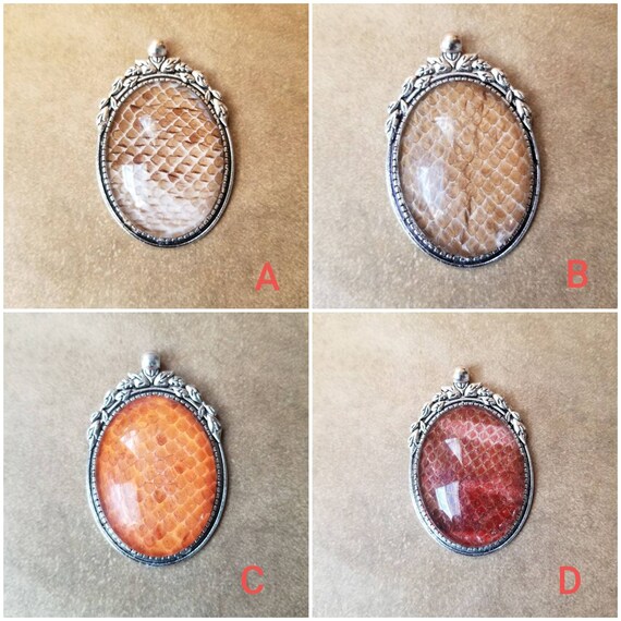 Snake shed jewelry, snake shed pendant, snakeskin necklace, cruelty free snake shed jewelry, snake shed behind glass, gift for snake lover