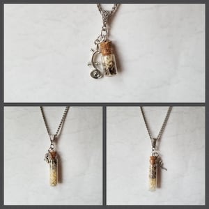 May include: A silver chain necklace with a small glass vial pendant. The vial is filled with a white substance and has a cork stopper. A silver charm of a lizard is attached to the vial.