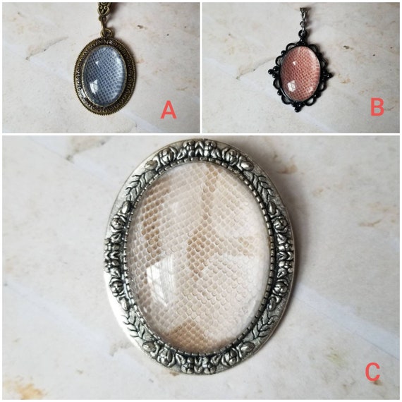 Snake shed jewelry, snake shed pendant, snakeskin necklace, cruelty free snake shed jewelry, snake shed behind glass, snake shed brooch