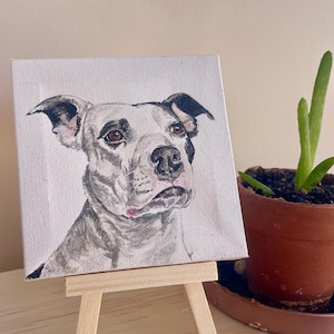 Custom Pet Portrait 4x4 Watercolor on Canvas Hand Painted Pet Gift Personalized Dog or Cat Art Mini Pet Memorial Keepsake Pet Lovers Gift
