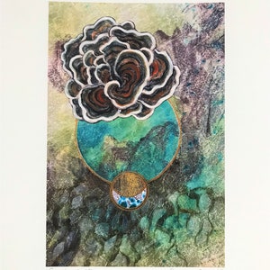 Gravura, belas artes, terra, elementos, pintura, botânica, esotérico, simbolismo, geometria sagrada, cogumelos