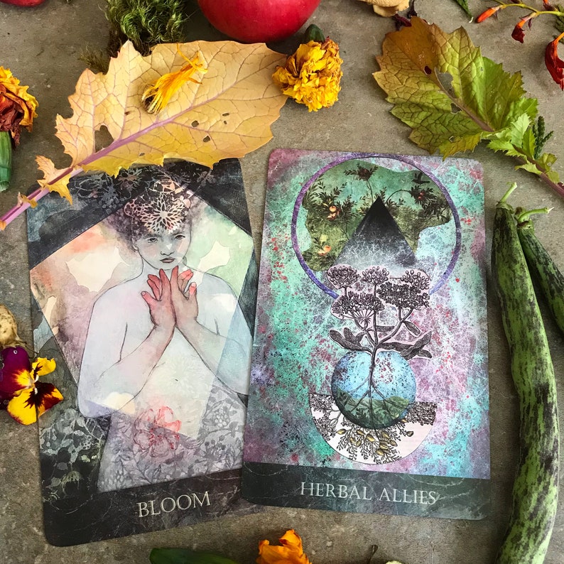 K&ouml;nnte beinhalten: Zwei Tarotkarten, eine mit einer Frau in meditativer Pose mit dem Wort "Bloom" unten und die andere mit einer Pflanze, die aus einer Kugel w&auml;chst, mit den Worten "Herbal Allies" unten.
