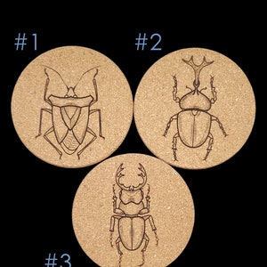 Set of Cork Coasters, Insect, Beetle, handmade, decor, spooky, halloween image 2