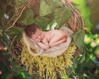 Digitale achtergrond/prop - Newborn swing (Joseline) - Fotografie