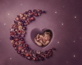 Newborn Digital Backdrops /  Prop / Digital Background / Newborn Composite/  Dried flowers / In a Moon&#39;s HeartPhotography- Photography