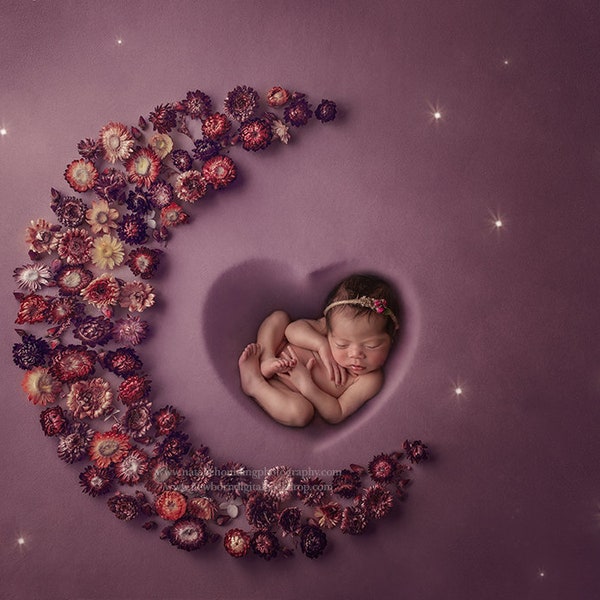 Newborn Digital Backdrops /  Prop / Digital Background / Newborn Composite/  Dried flowers / In a Moon's HeartPhotography- Photography