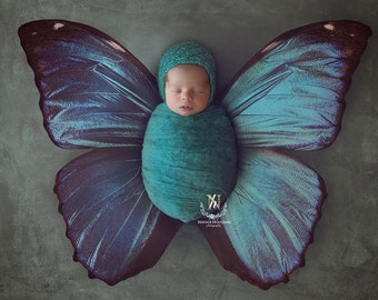 Butterfly bub -Newborn Digital Backdrop for photography - Poppet - Face insert